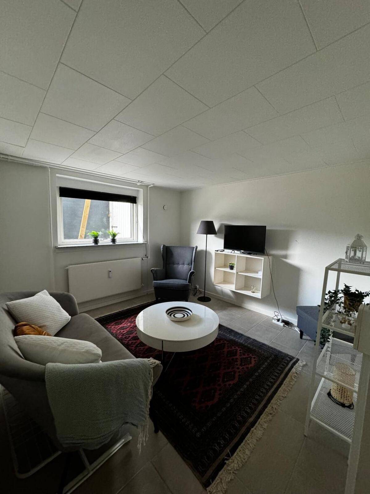Cozy Basement